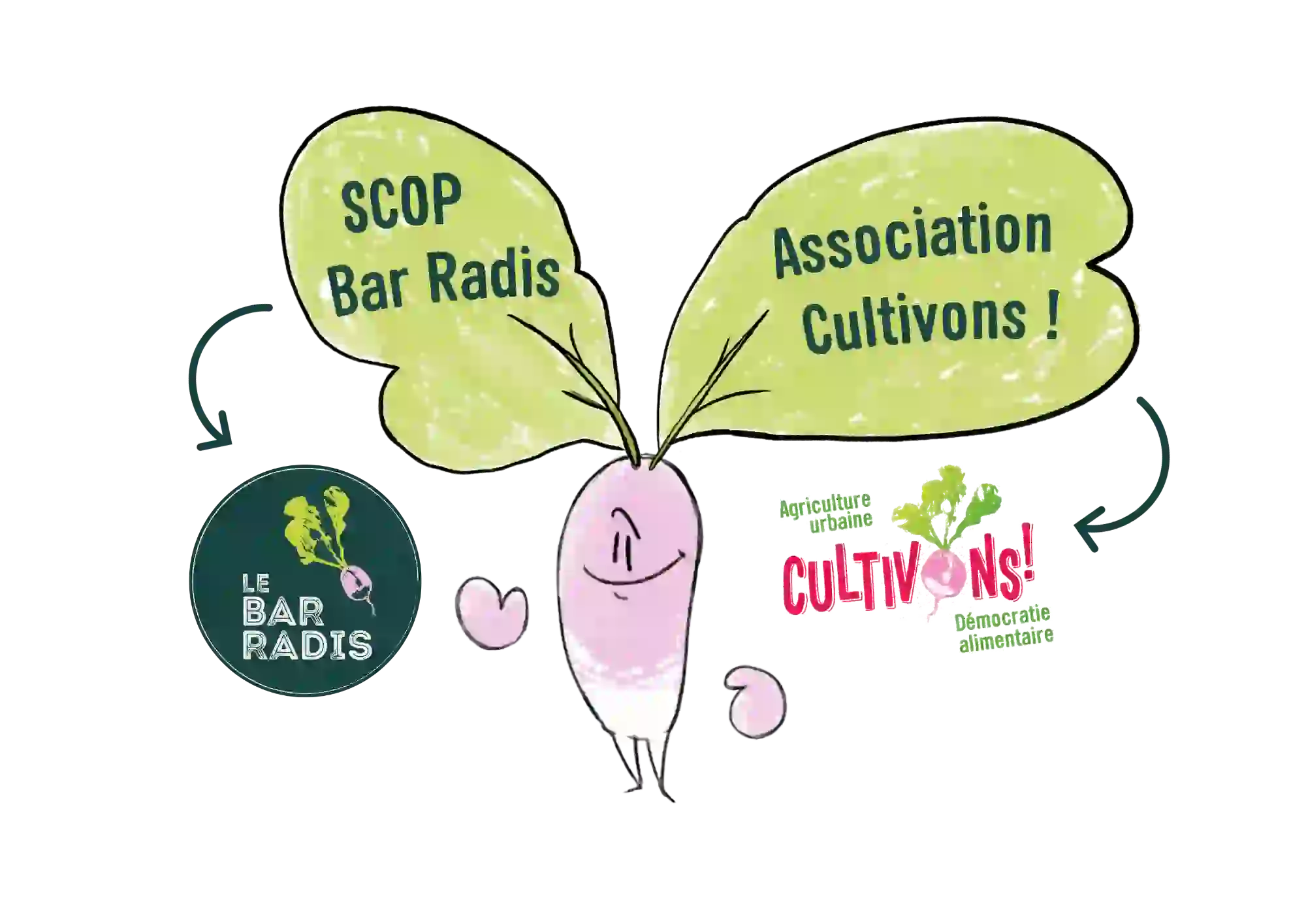 visuel gouvernance Bar Radis (3)
